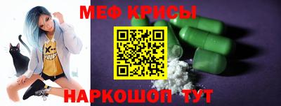 стаф Гатчина