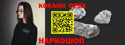 стаф Гатчина