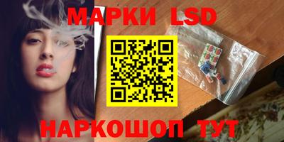 стаф Гатчина