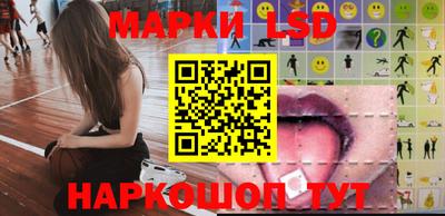 стаф Гатчина