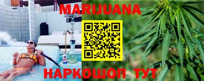 стаф Гатчина