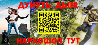 стаф Гатчина
