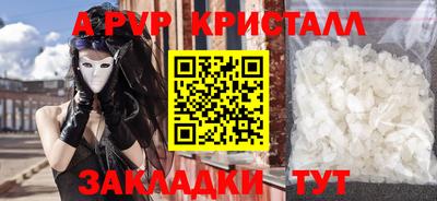 стаф Гатчина