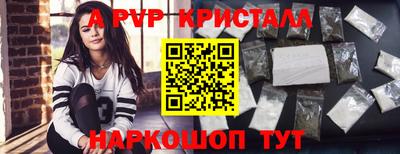 стаф Гатчина