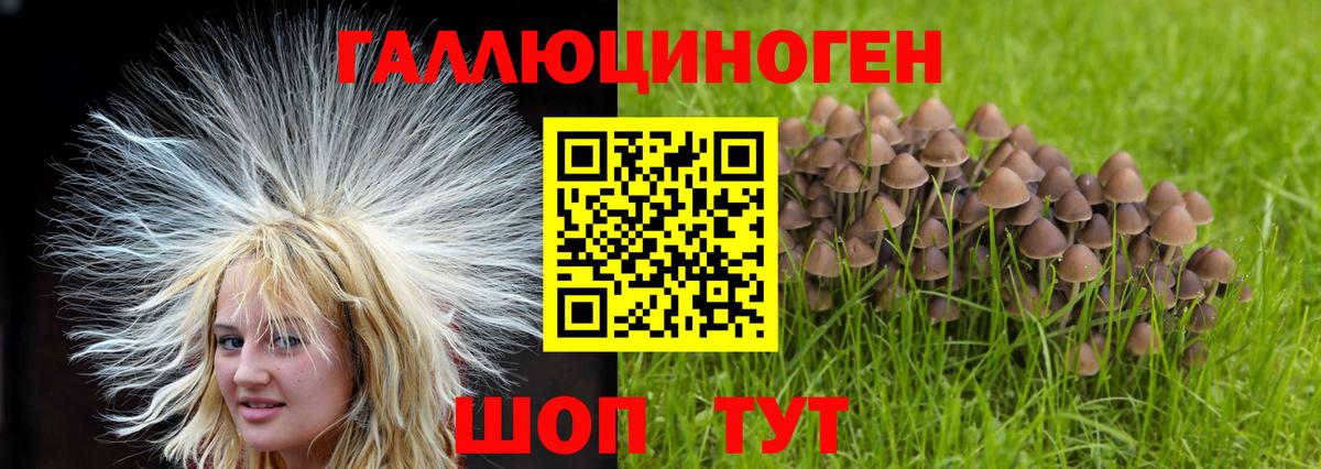Псилоцибиновые грибы GOLDEN TEACHER  Вход с VPN  Кунгур  Галлюциногенные грибы мицелий 