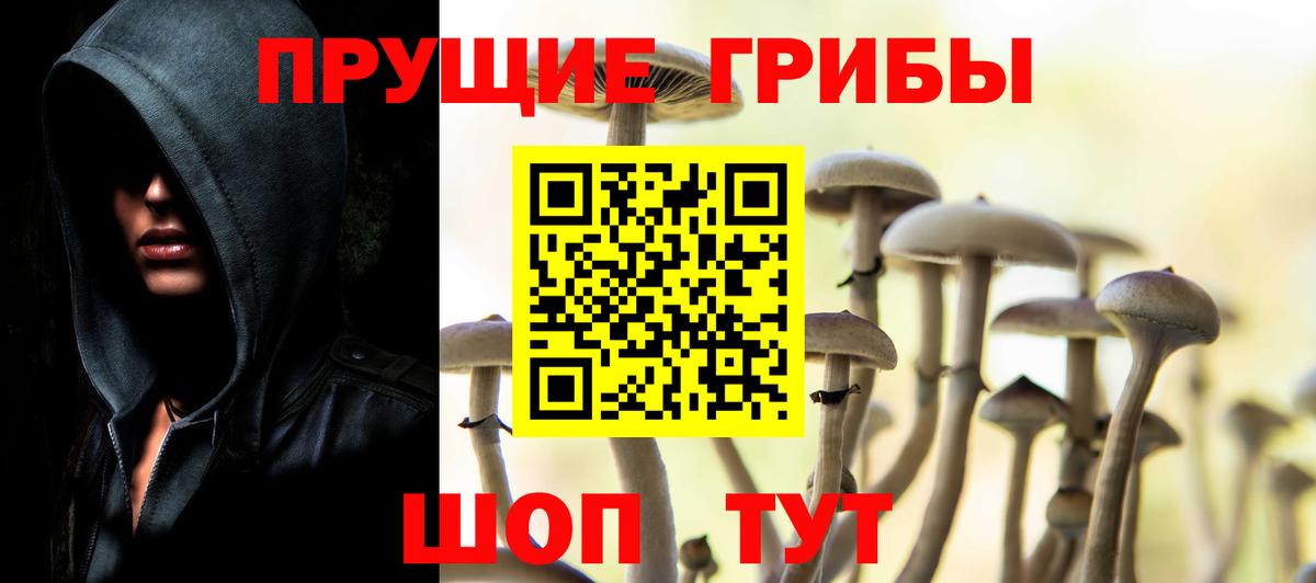 Галлюциногенные грибы прущие грибы Кунгур